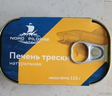 Треска норд пилигрим