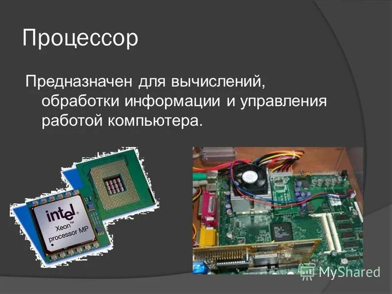 Физическая память процессора. Процессор предназначе. Для чего предназначен процессор. Процессор память для презентации. Процессор краткий ответ.