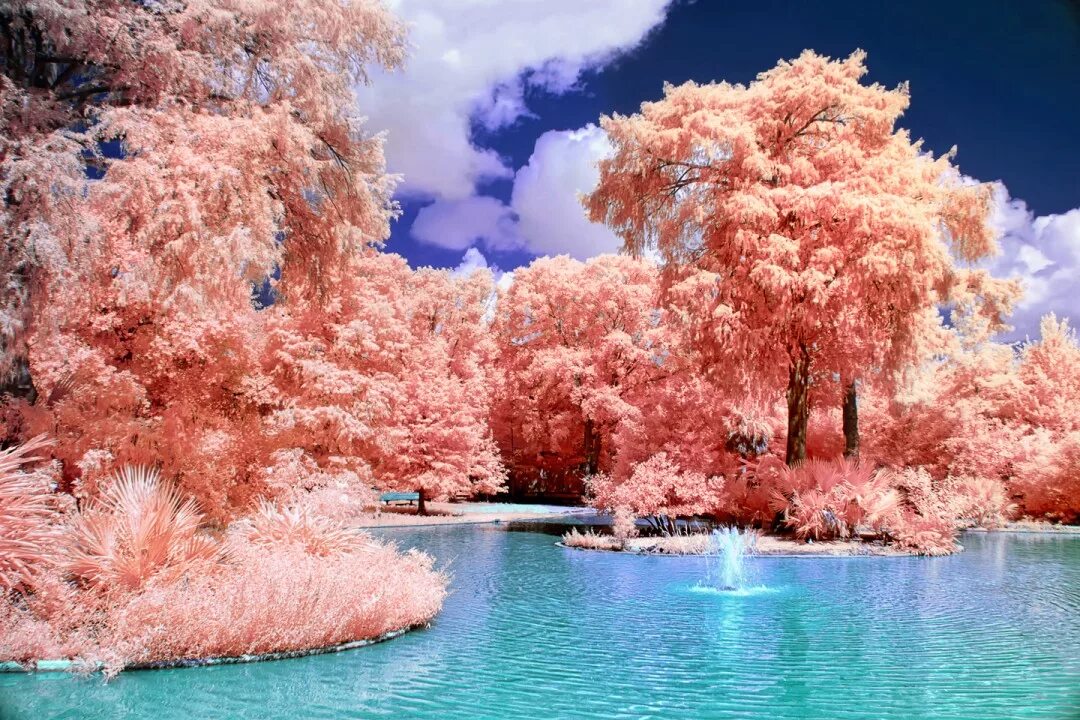 Необычные пейзажи. Инфракрасная фотография. Необычно красивая природа. Необычно красивая природа. Красивые картинки.