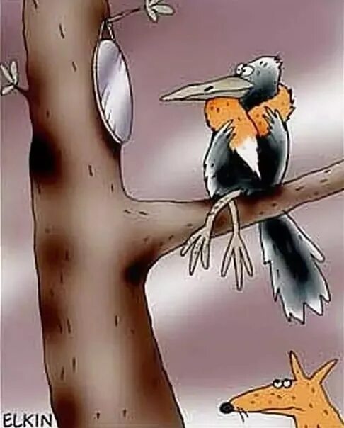 Ворон и сыр сидит на дереве. Ворона и лисица. карикатуры про птиц. ворон карикатура. ворона и лисица карикатуры.