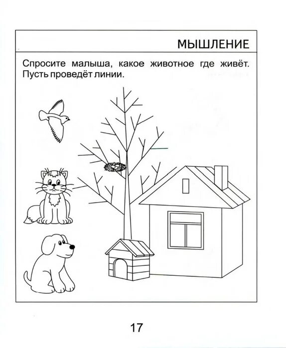 Тест 3 года назад. Задания для детей аутистов психологу. Задания от психолога для детей 4-5 лет. Тесты для детей 3-4 лет. Задания для детей 3 лет.