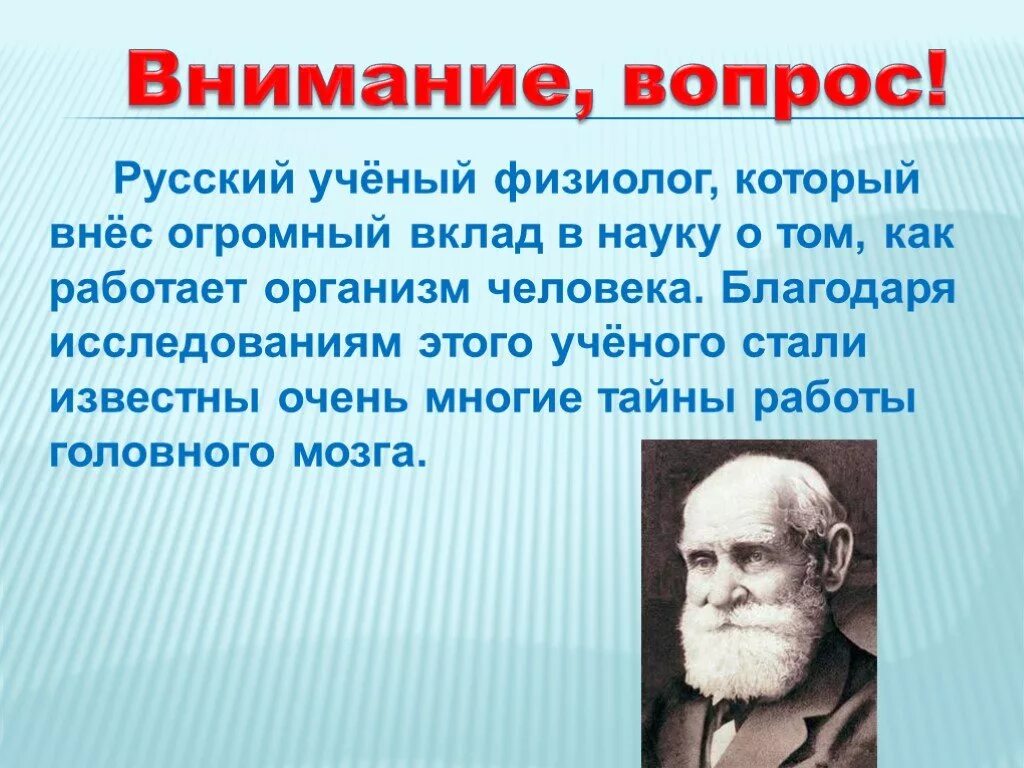 Вклад ученых в науку. Люди которые внесли вклад. Вклад российских ученых в науку. Ученые которые внесли вклад в науку. Ученые свои результаты исследования