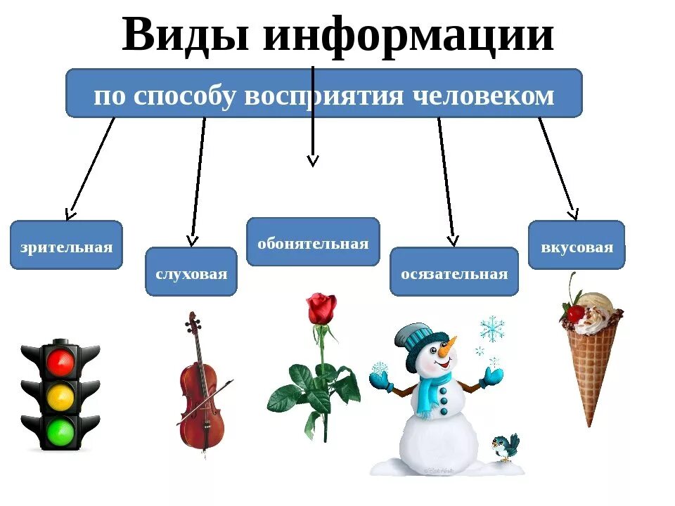 Приведи примеры предметов. Способы восприятия информации. Виды информации. Виды информации по способу восприятия человеком. Способы восприятия информации человеком.