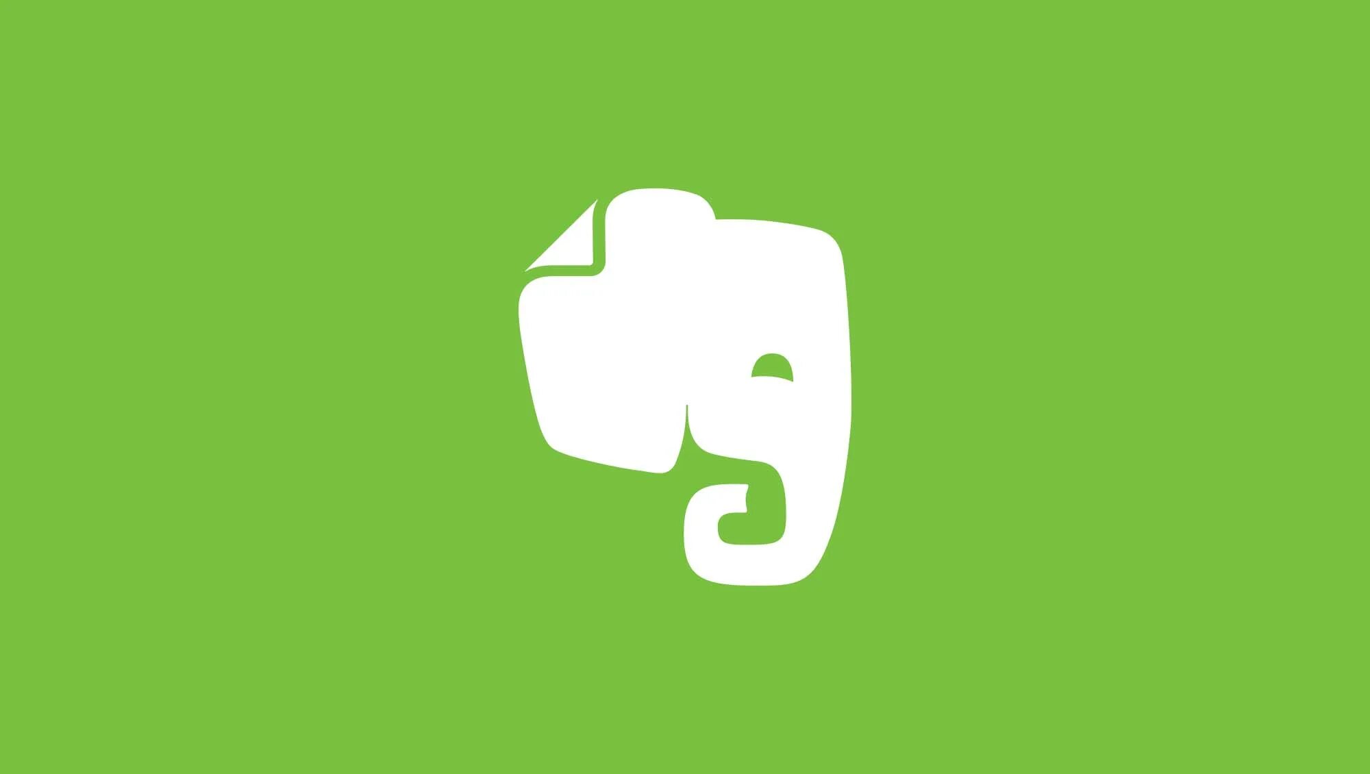 Evernote изображение с прозрачным фоном. Фон для evernote. Evernote. Ever note. Ever note.