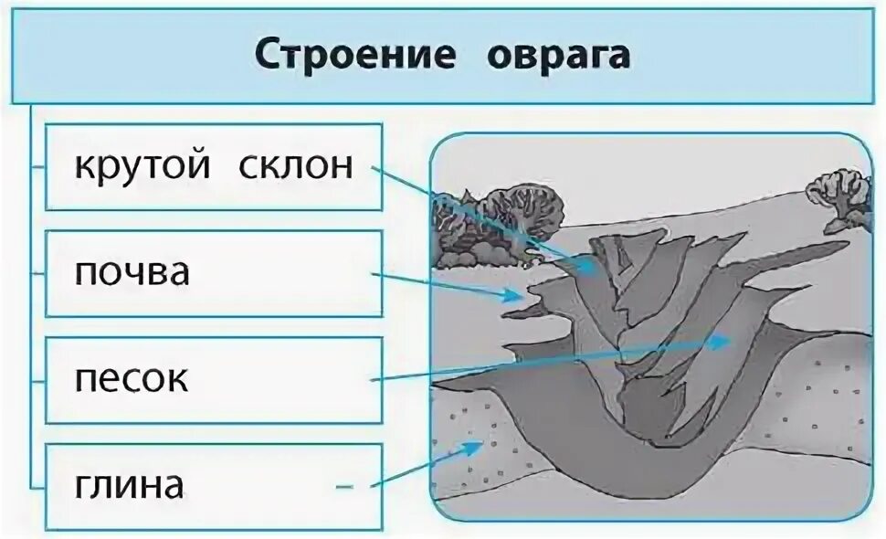 Правописание слов с пол и полу правило. Поверхность нашего края как бороться. Причины образования оврагов. Овраг. Овраг схема.