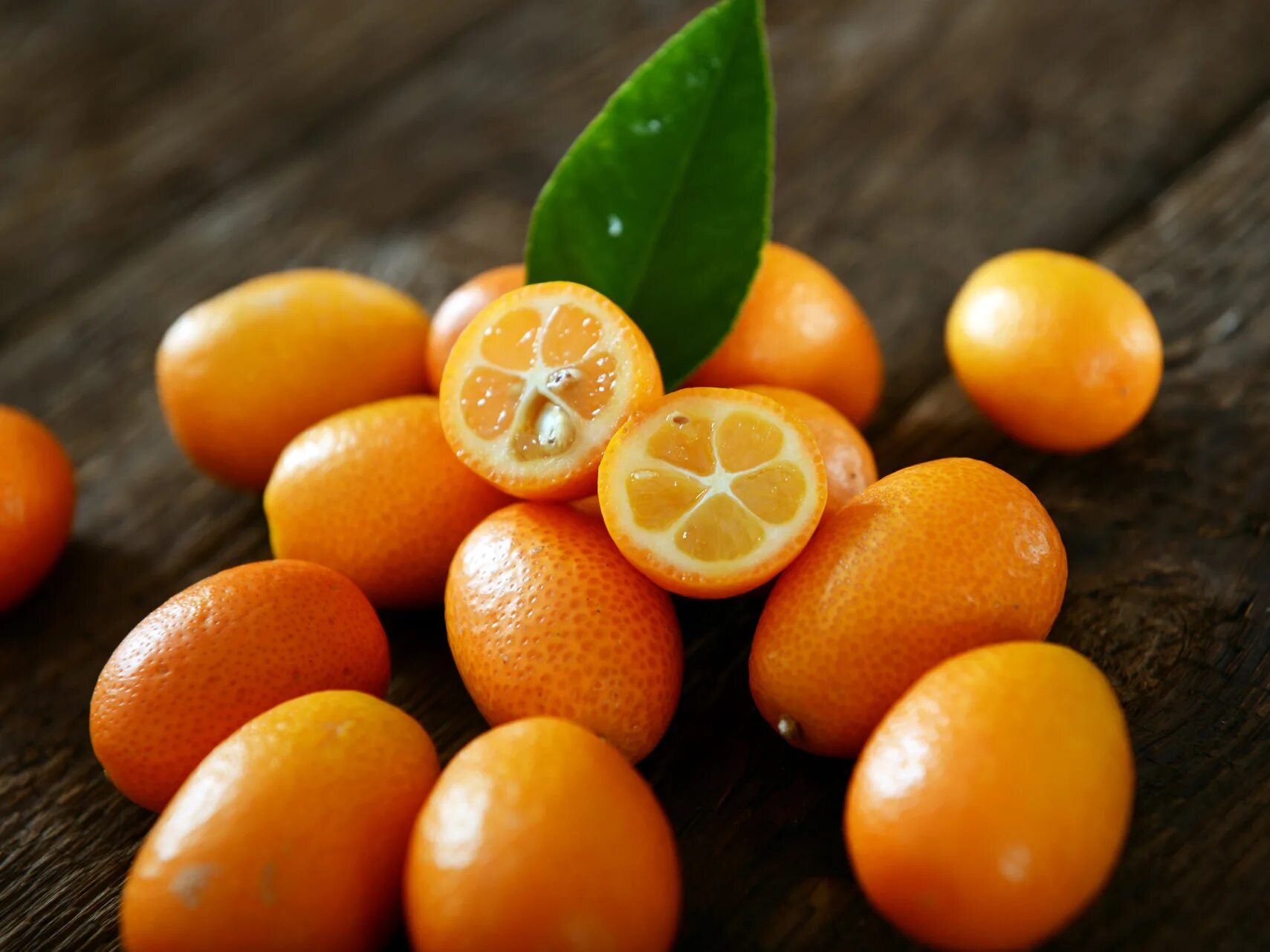 фрукт цитрус кумкват. кункувата. лимон апельсин кумкват. кун квад. кун квад.