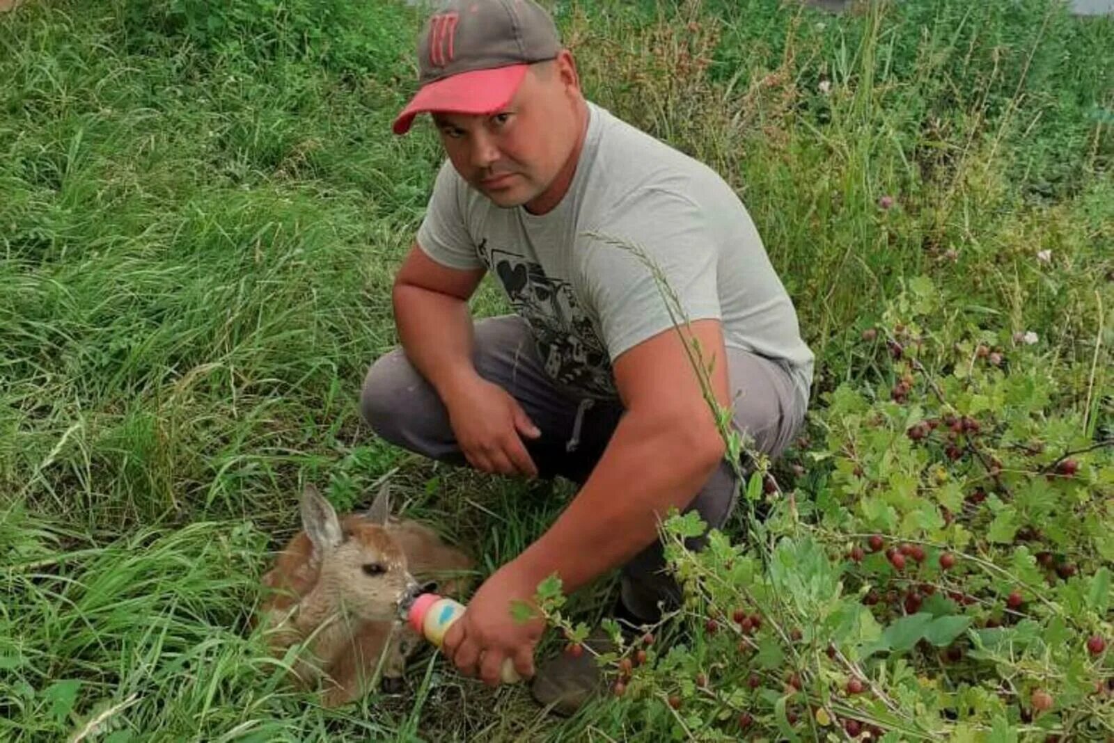 Майстренко игорь фермер на ставрополье. Full harvest. Фермер спас. Итальянский фермер. Фермер спас.