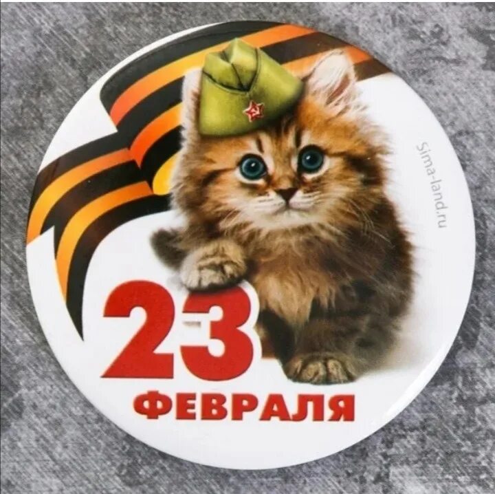 С днем защитника котиков. С 23 февраля. 23 Февраля коты. С 23 февраля котики. Магнитики на 23 февраля.