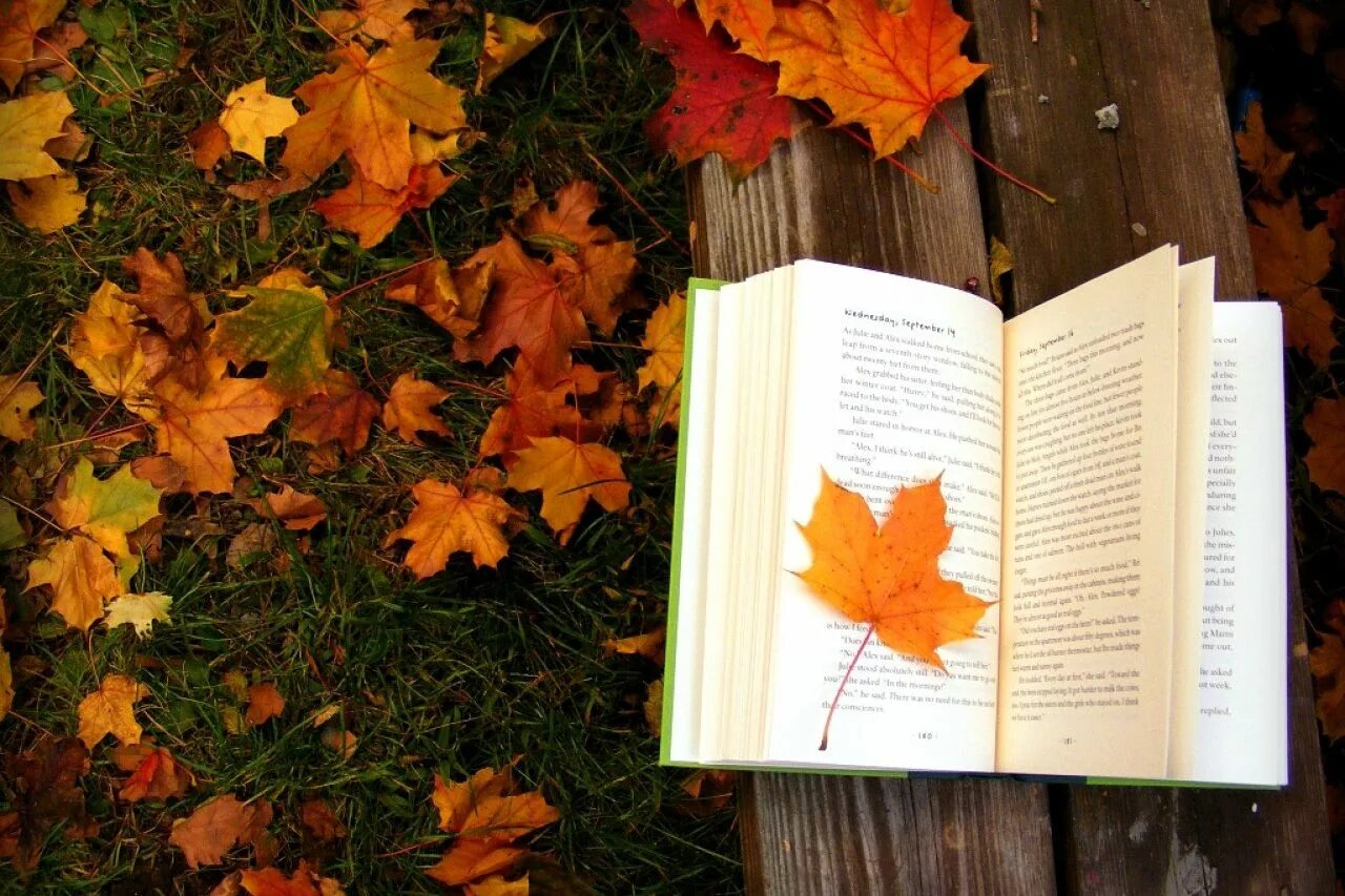 Книги про осень. Осенняя книга. Книга и осенние листья. Осеннее чтение.