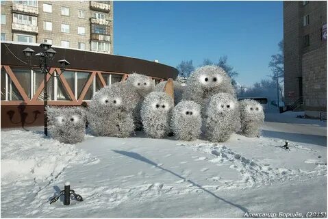 Ежик из снега в детском