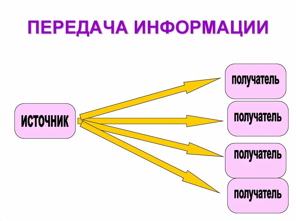Информация. Виды, свойстваинформации, информационные процессы