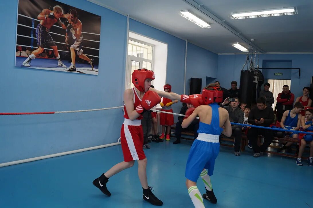 Бокс каменск уральск. Школа бокса каменск-уральский. Бокс каменск-уральский секция салют. Центр бокса в каменске уральском. Гонг каменск уральский бокс.
