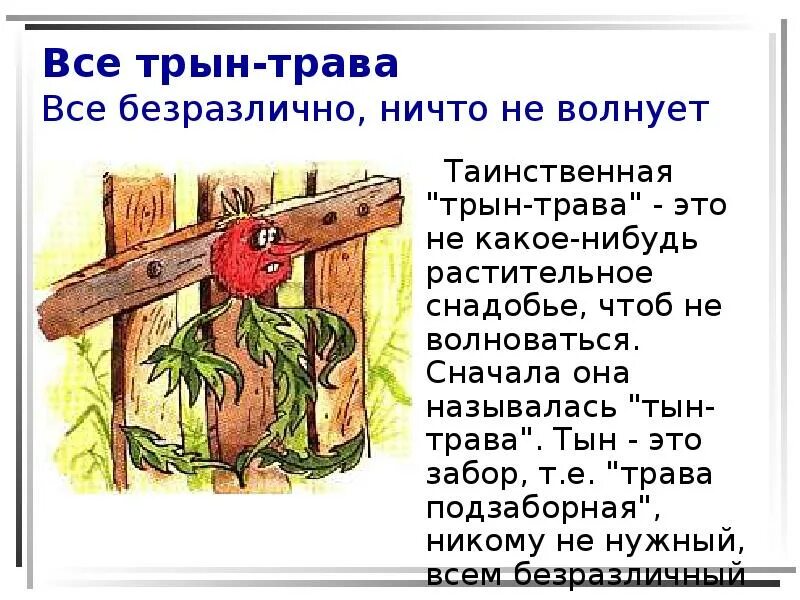 Трын трава картинки. Трын-трава растение. Выражение трын трава. Дерн трава. Настойка белочка я пришла трын-трава.
