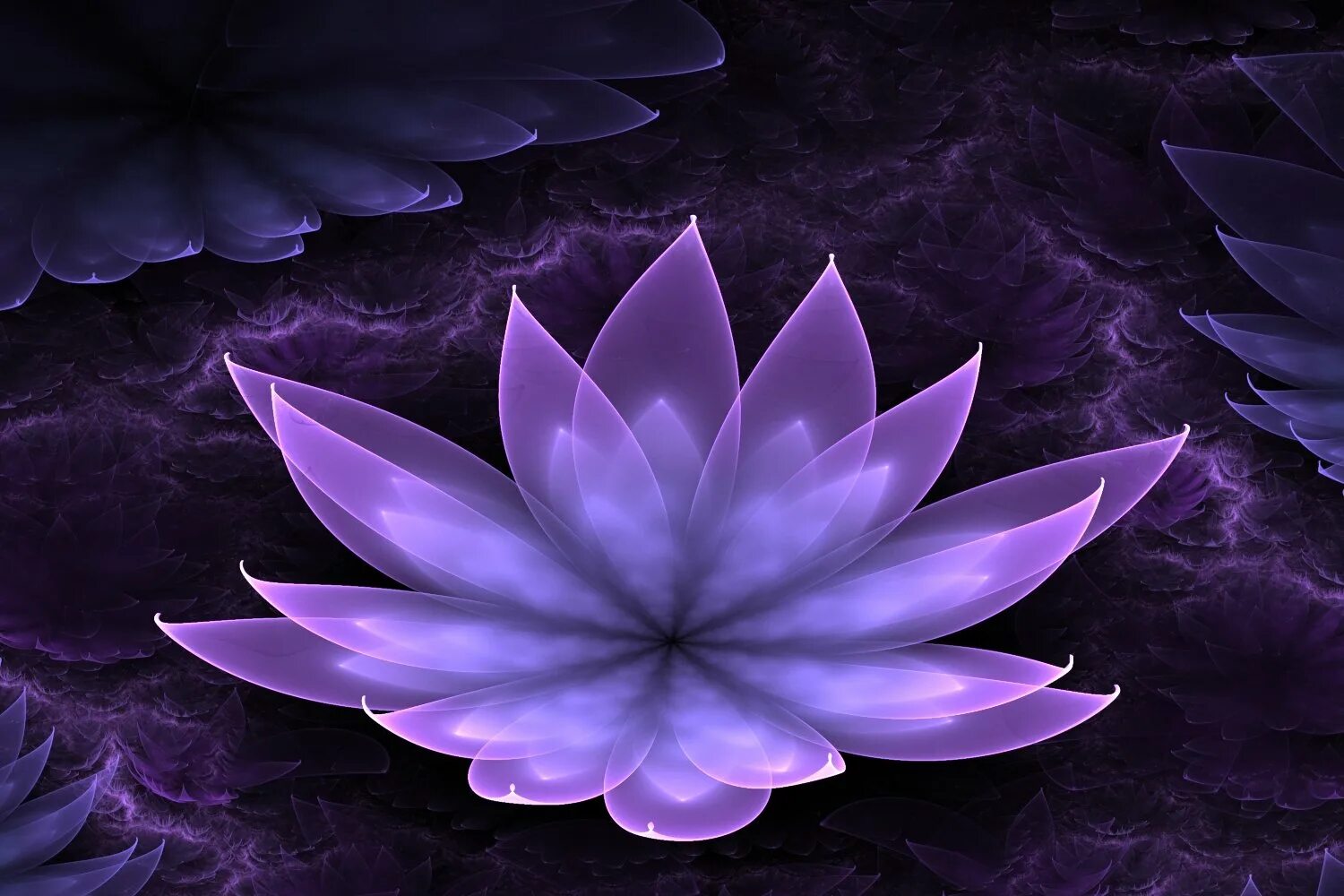 Загадочный лотос. Лотус Фловер. Черный Лотус цветок. Тысячелепестковый Лотос. Лотус Purple.