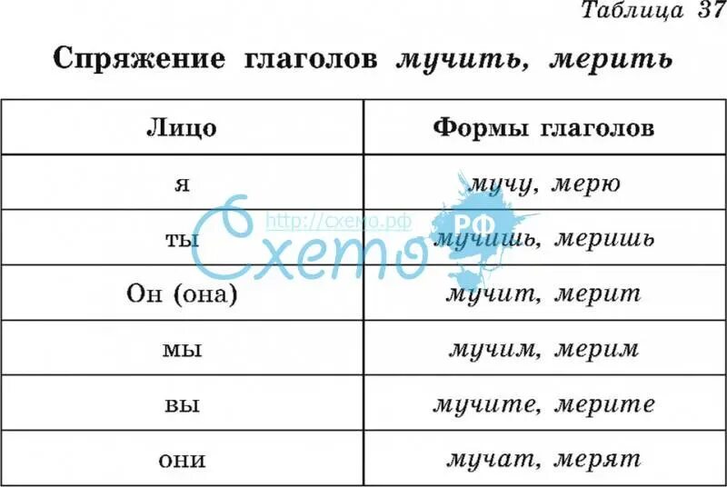 Склонение глагола мерить. Спряжение глагола мучить. Глагол мерить проспрягать. Склонение глагола мучить.