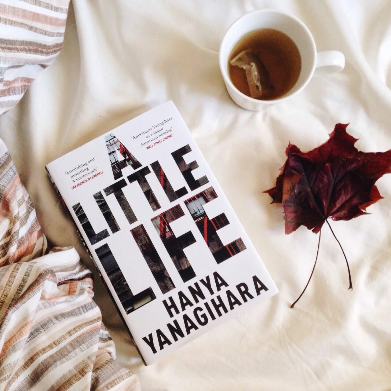 Маленькая жизнь Ханья Янагихара. Обложка книги a little Life. Маленькая жизнь книга обложка.