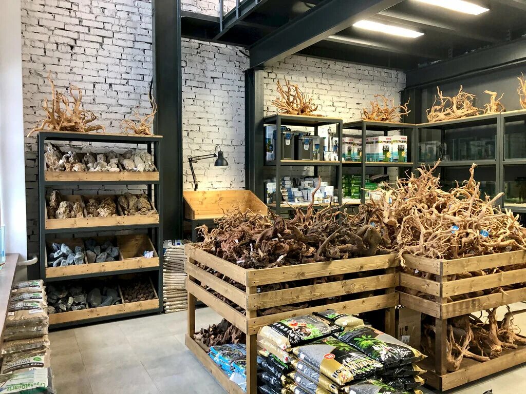 аквариумная студия маши блюм москва