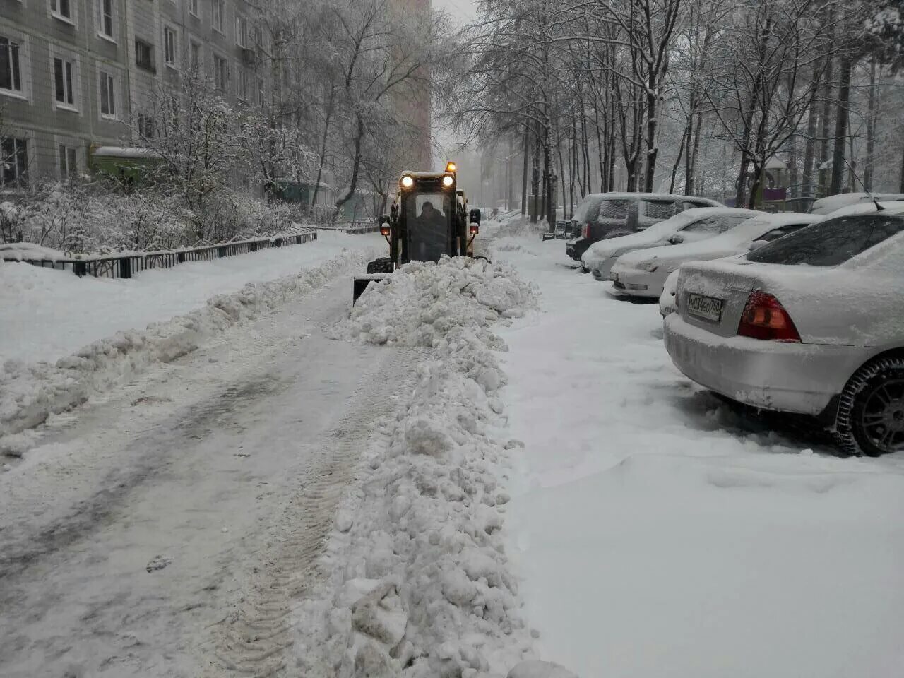 Спасатели мособлпожспас. Волонтеры помогают пожилым. Обстановка в подмосковье сейчас. Новости с водоемов подмосковья. Обстановка в подмосковье сейчас.