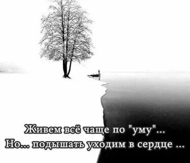 По чаще