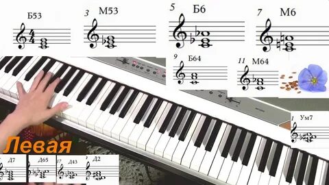 Не смотря на ноты