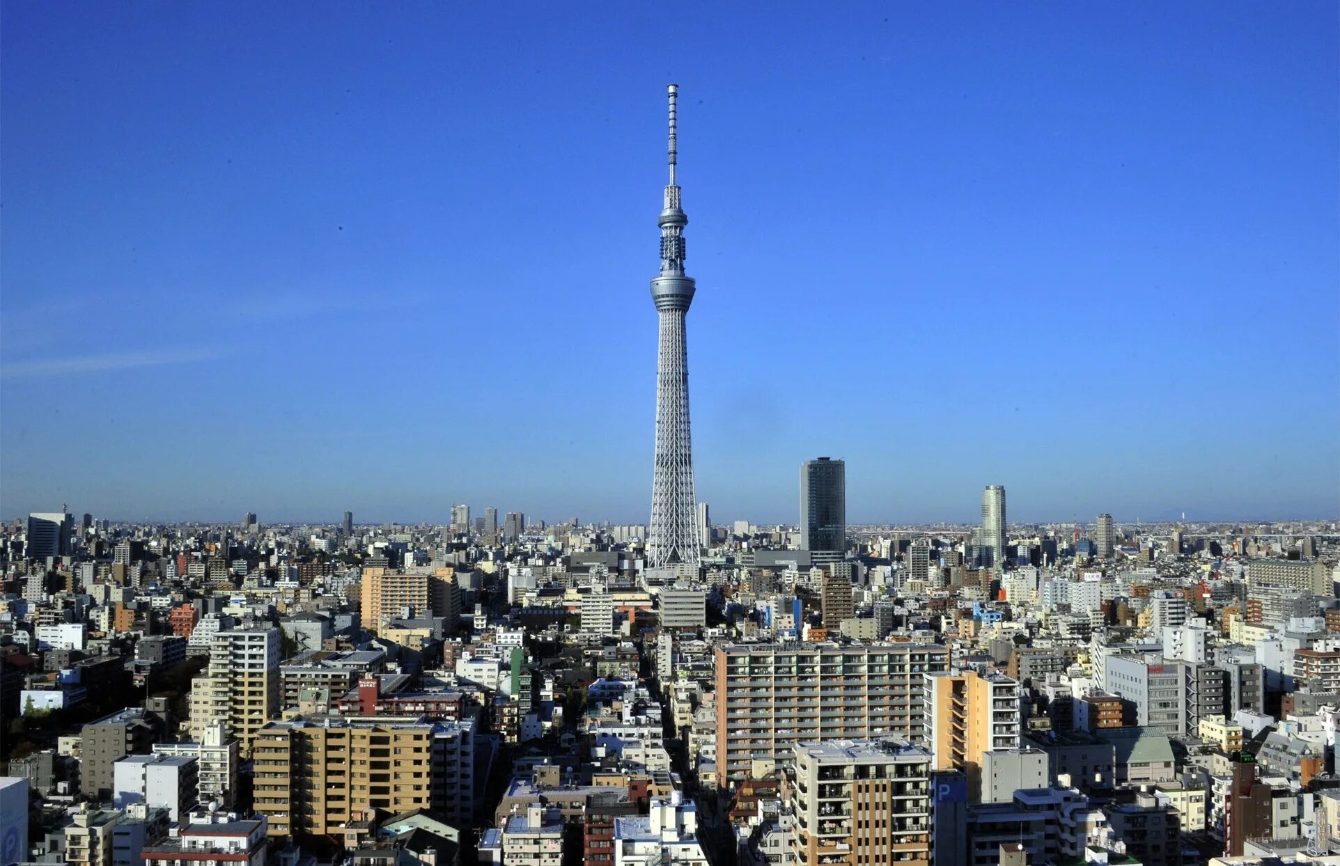 Самая высокая средний. Телебашня небесное дерево в Токио. Tokyo Skytree в Токио. Телевизионная башня Токио Скай три. Tokyo Sky Tree – небесное дерево.