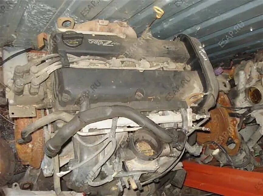 25 название двигателя. Двигатель на форд фокус 1 поколения. Двигатель 4hk1 isuzu. Двигатель на форд фокус 1 поколения. Fiat croma 154 двигатель 8 клапанов.