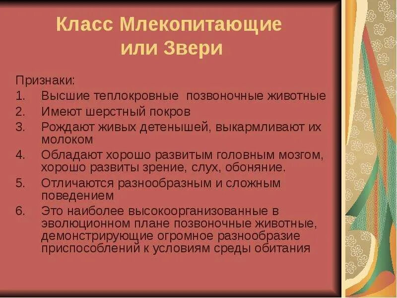 Класс млекопитающие общая характеристика. Характеристика класса млекопитающие. Особенности класса млекопитающие. Класс млекопитающие или звери. Характеристика млекопитающих 8 класс биология