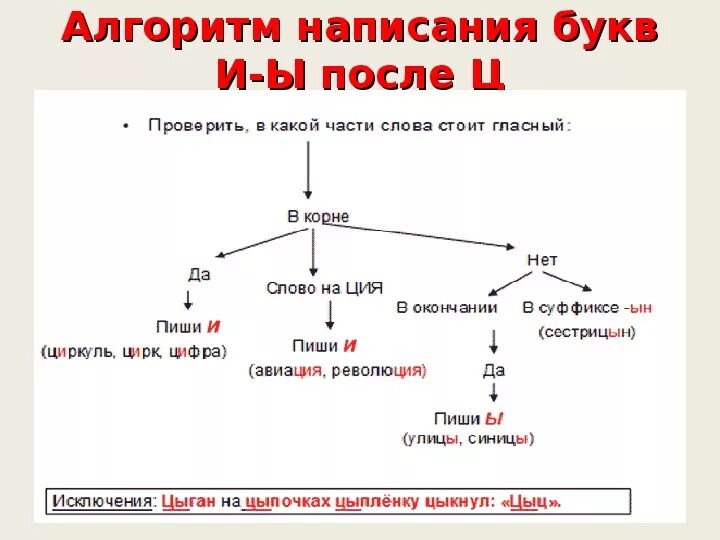 Правописание и ы после ц алгоритм. Правописание ы и после ц 5 класс. Буквы и - ы после ц алгоритм. Алгоритм написания буквы ц.