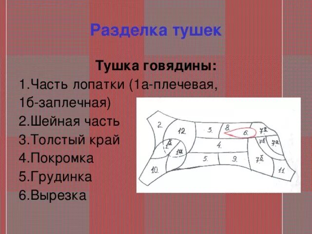 Схема разделки говяжьей туши. Разделка туши говядины схема. Шейно лопаточная часть говядины. Говядина покромка. Верхний тонкий край