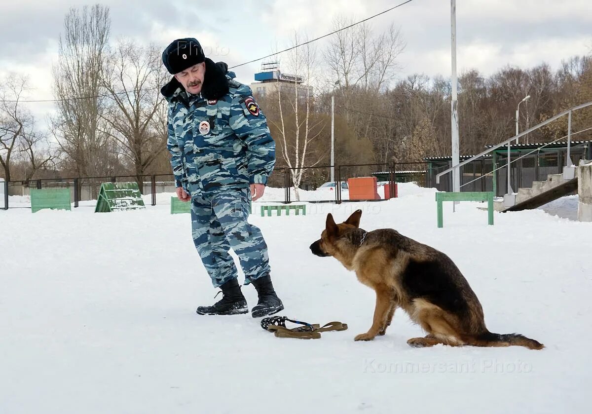 Кинологи метрополитена. Кинолог в метро. Кинологический центр метрополитена. Кинологический центр Бутырская. Московских кинолог