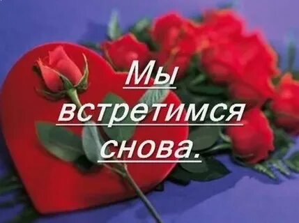 Мы встретимся снова в мае