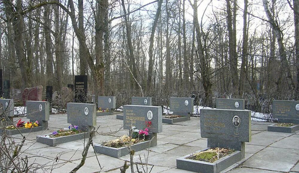 Серафимовское кладбище коммунистическая площадка. Серафимовское кладбище могилы знаменитостей. Серафимовское кладбище санкт-петербург могилы знаменитостей. Серафимовское кладбище мемориал жертвам блокады ленинграда. Могилы известных людей на серафимовском кладбище.