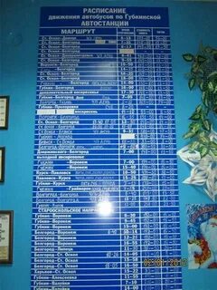 Скородное старый оскол автобус