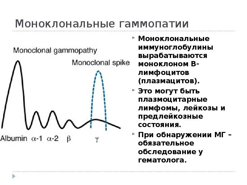 М градиент инвитро. М-градиент на электрофореграмме. электрофорез белков м градиент. анализ м градиент. м-градиент в крови.