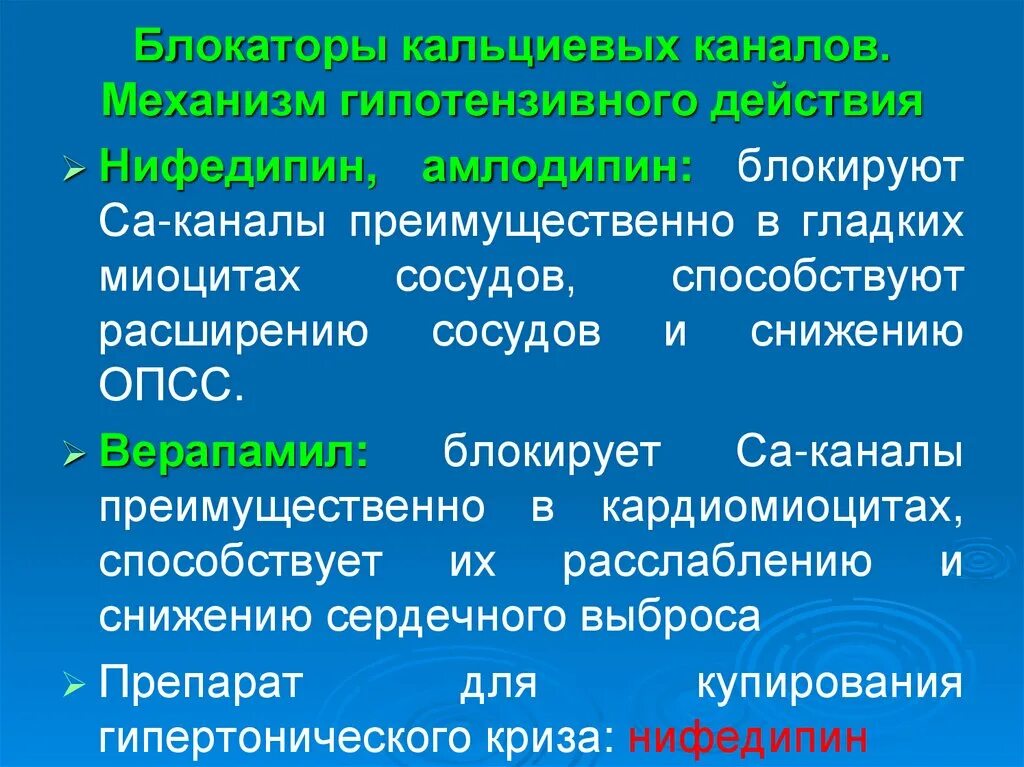 Амлодипин побочные действия при длительном применении. Блокаторы медленных кальциевых каналов механизм действия. Механизм гипотензивного действия блокаторов кальциевых каналов. Ингибиторы кальциевых каналов механизм действия. Механизм действия кальциевых блокаторов.