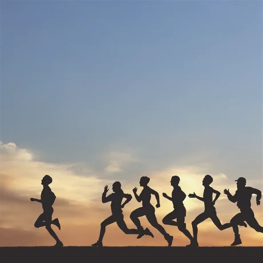 Физкультура это кратко. Должности работников культуры. Физическая культура и спорт. Федеральное статистическое наблюдение. Доклад по физкультуре.