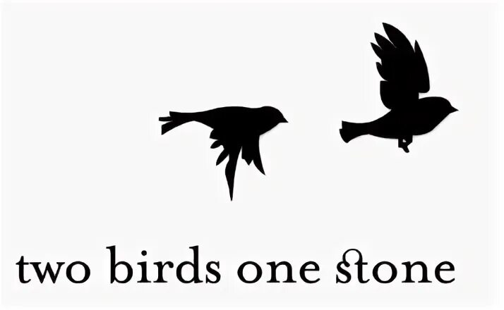 В чем смысл песни two Birds. Kill two Birds with one Stone idiom. Kill two Birds with one Stone.