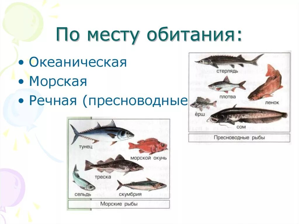 Примеры группы рыбы. Классификация рыбы в зависимости от места обитания. Экологическая классификация рыб. Классификация рыб по местам обитания. Рыбы по среде обитания.