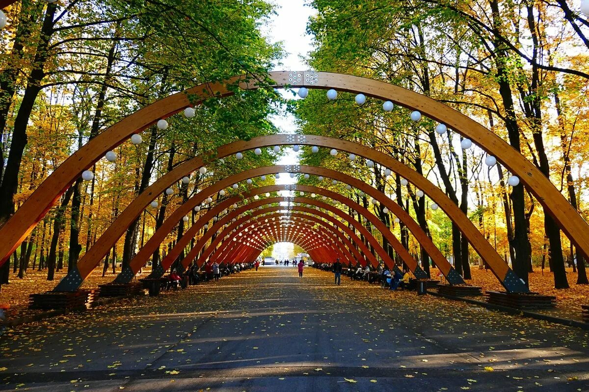 Лучшие парки для прогулки. Парк Сокольники. Парк Сокольники Центральная аллея. Московский парк Сокольники. Парк в Сокольниках в Сокольниках в Москве.