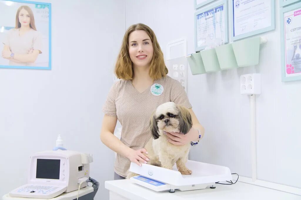 германа лопатина, 6б. ветклиника барс чусовой. клиника барс. барс ветлечебница. ветеринарная клиника филевский парк.