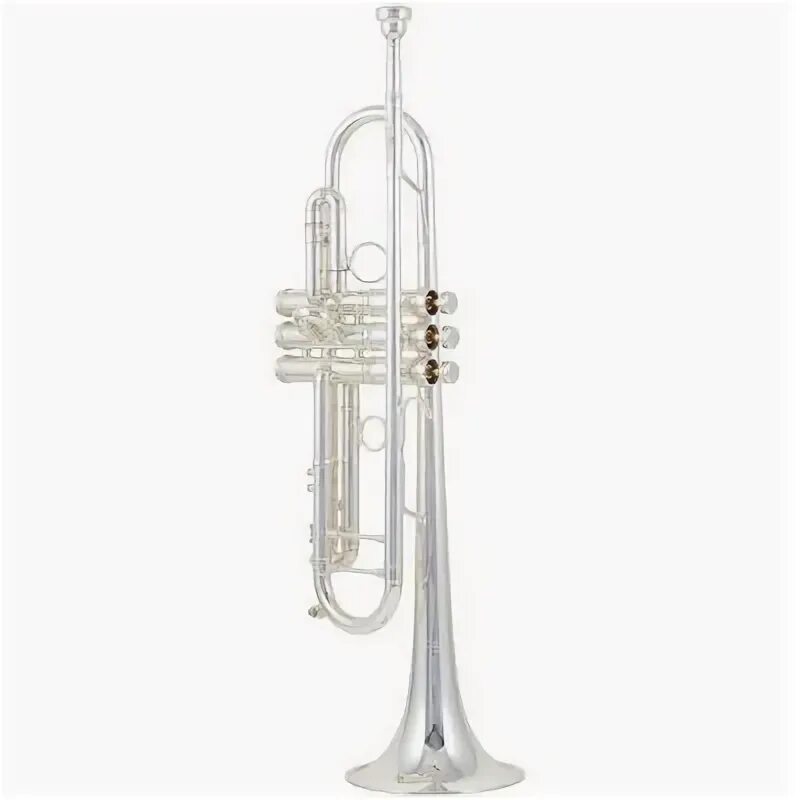 Труба "bb" bach tr-200. Фото духовых инструментов. Yamaha труба yamaha ytr-3335s. Масло для трубы yamaha. Yamaha ytr 3335 used photo.