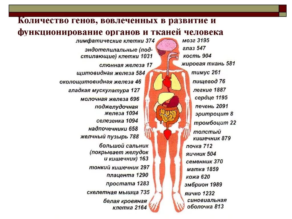 Гене чисел