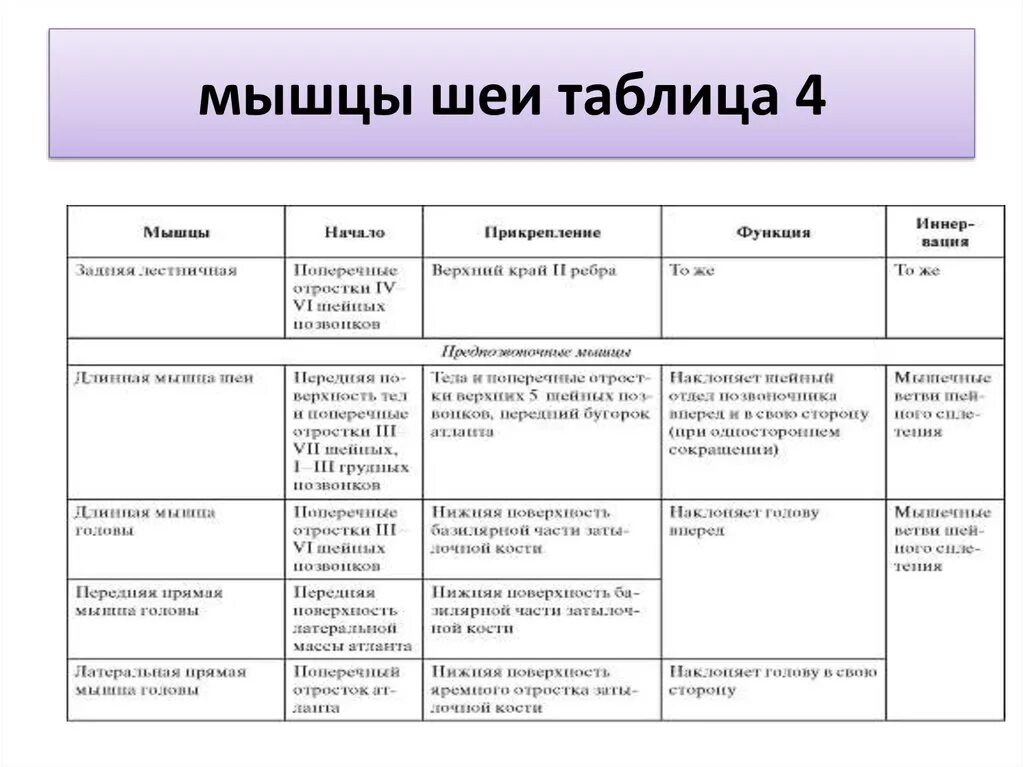 Начало прикрепление функции мышц. Мышцы головы и шеи функции таблица. Мышцы шеи анатомия таблица функции. Таблица по мышцам головы и шеи. Мышцы шеи прикрепление таблица.