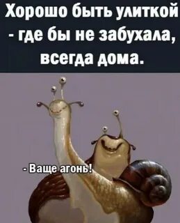 Улитка пришла в бар