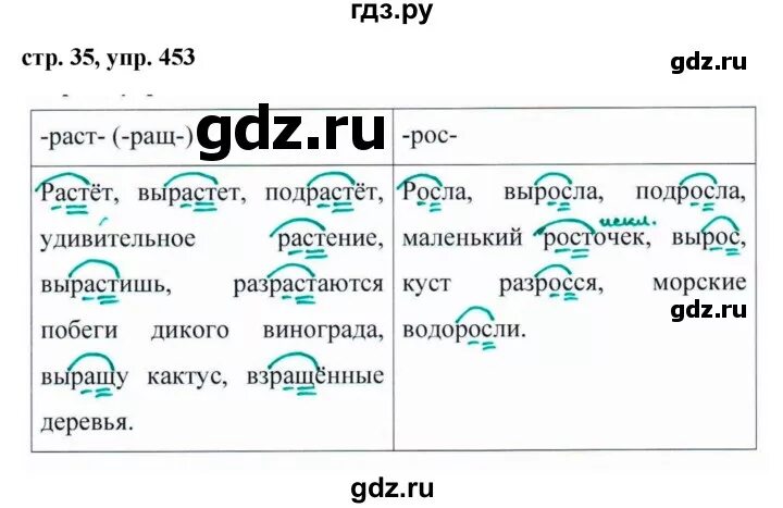 Готовые домашние задания по русскому 5 класс. Русский язык 5 класс 453. Упражнение 453. Русский язык 5 класс упражнение 453.