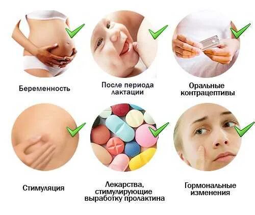 Молозиво перед