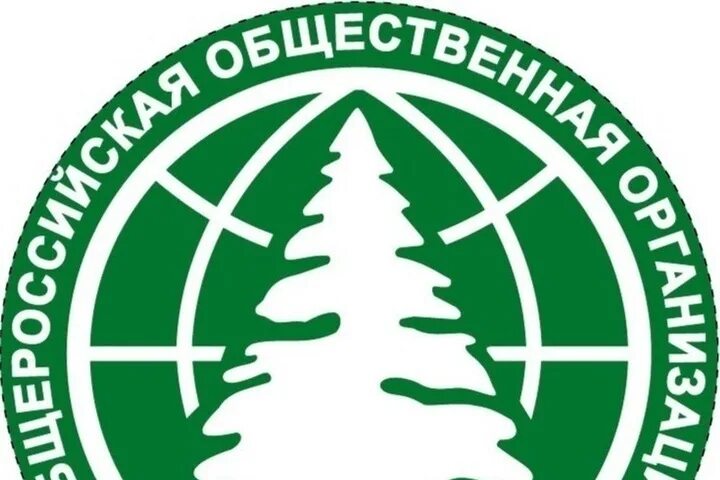 Общероссийские общественные экологические организации. Что такое независимая экологическая экспертиза. Российское общество экологической экономики. Организация зеленый патруль. Общероссийская общественная организация «зеленый патруль».