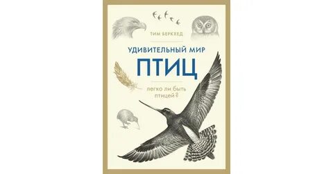 Птичке интернет