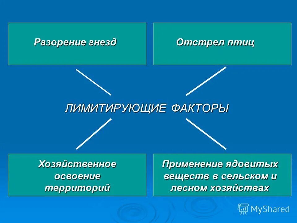 Лимитирующий фактор жизни растений в нечерноземной зоне