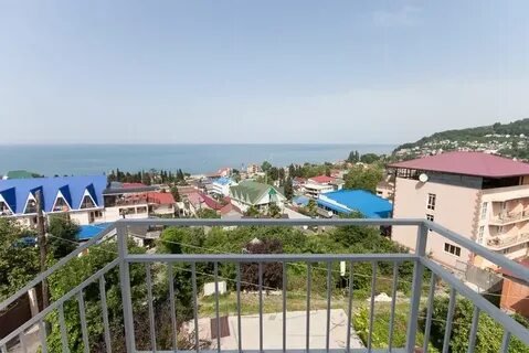 Лоо алтайская